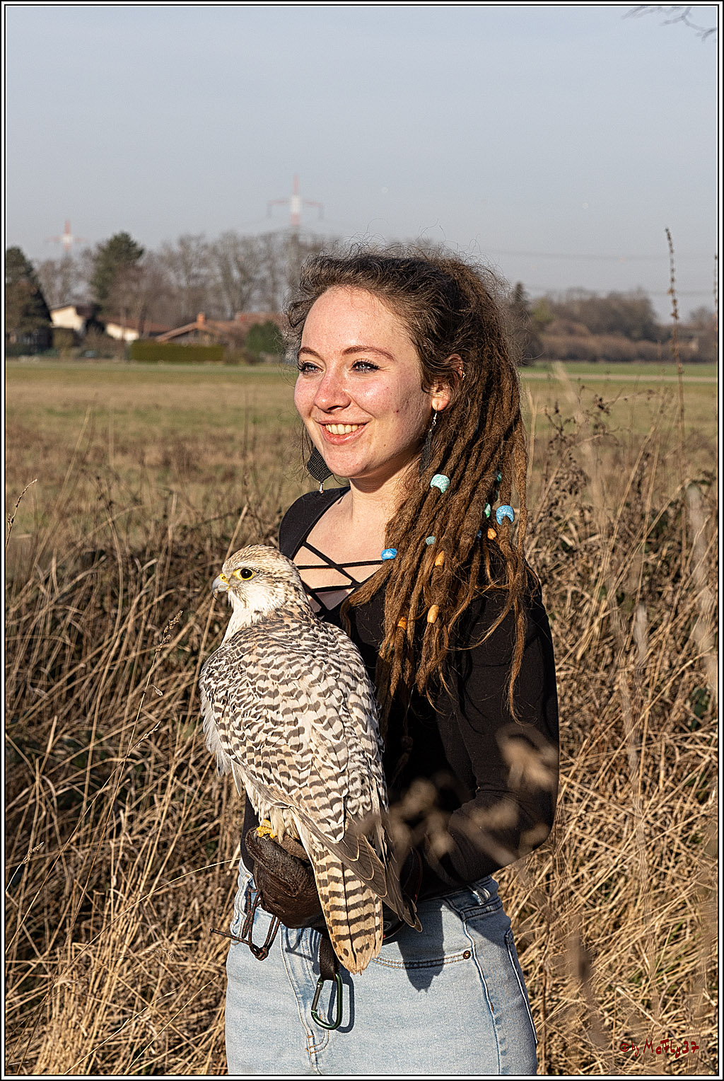 Cheyenne-Halbblut Hunting Wolf in der Falknerei Pierre Schmidt; Gymnich, 09.02.2023